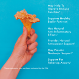 Mushroom Immunity Defense +