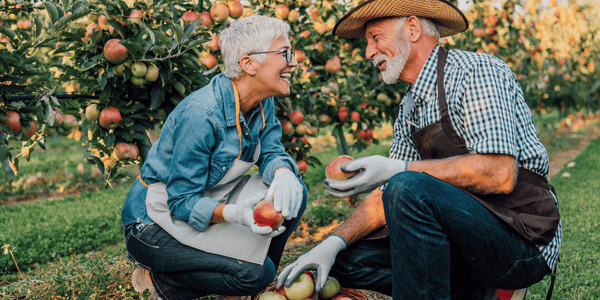 Couple happy picking apples