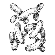 20.png__PID:5afbcfc0-2829-4378-ac2b-bd62bcace56a