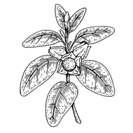 28.png__PID:774906e4-95f4-4173-b9c4-aed5bdd36dcb